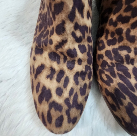 Circus by Sam Edelman Leopard Print Boots - Picture 3 of 10